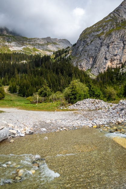 Río de montaña en el valle alpino del Parque Nacional de Vanoise, Saboya, Alpes franceses