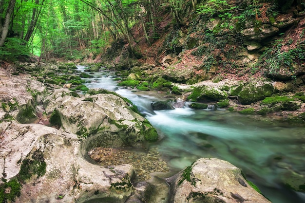 Río de montaña en verano. Corriente de agua en el bosque. Composición de la naturaleza