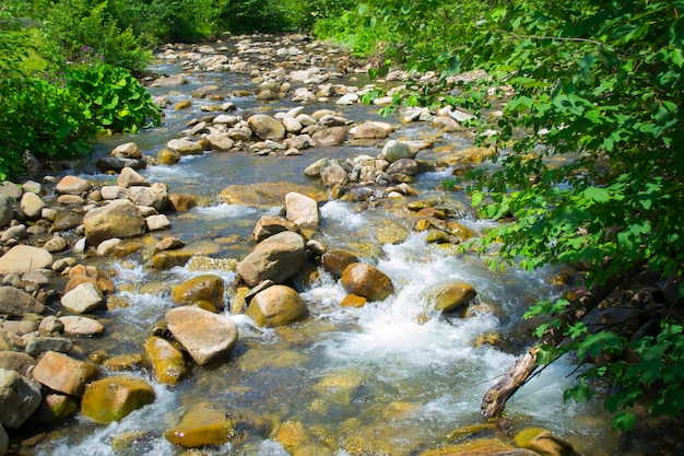 Río de montaña en verano