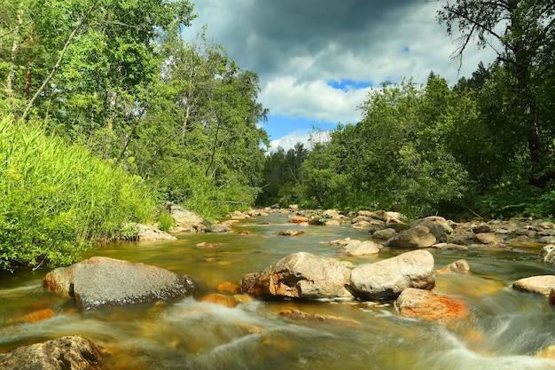 Río de montaña en verano