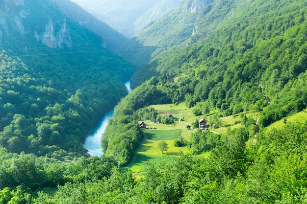 Río de montaña