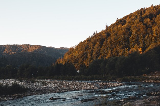 Río de montaña