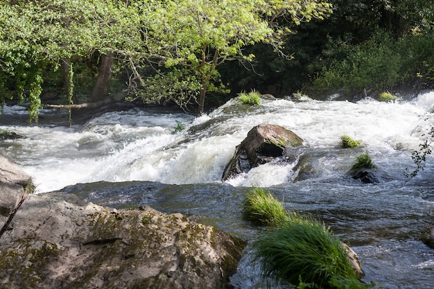 Río de montaña