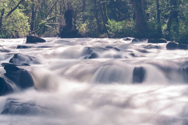 Río de montaña