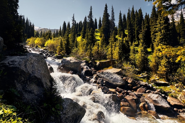 río en la montaña