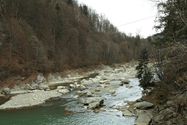 Río en las montañas de los Cárpatos en otoño