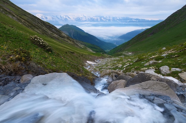 Río en las montañas. Crepúsculo de la mañana. paisaje de verano. Cordillera caucásica principal. Zemo Svaneti, Georgia