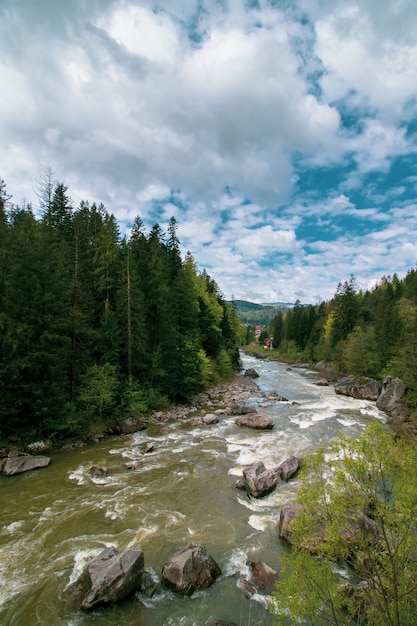 Río en las montañas. Paisaje de los Cárpatos.