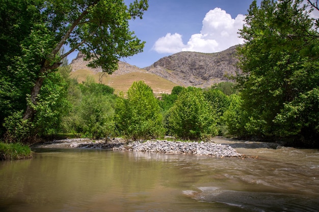 El río en las montañas de Pamir