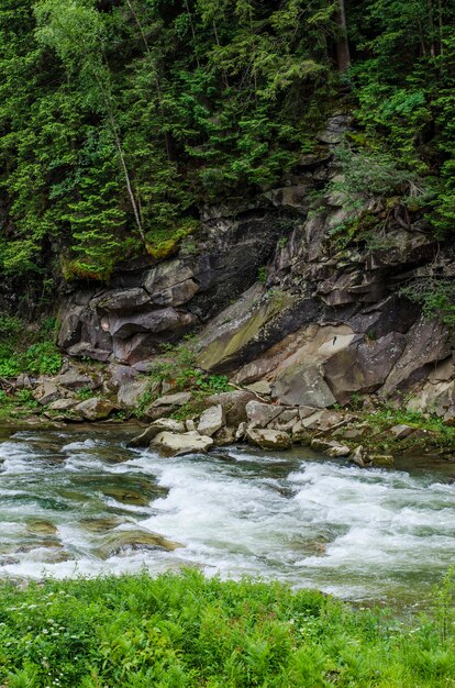 Rio montanhoso com uma correnteza rápida de pedras e uma cachoeira no verão