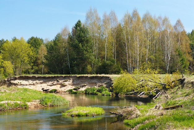 rio na floresta