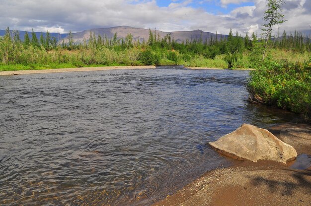 Rio na montanha taiga