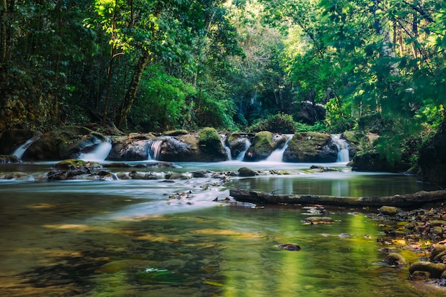 Rio na natureza