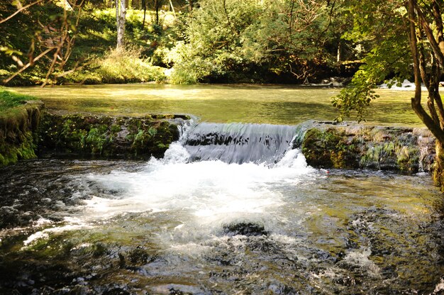 Rio na natureza