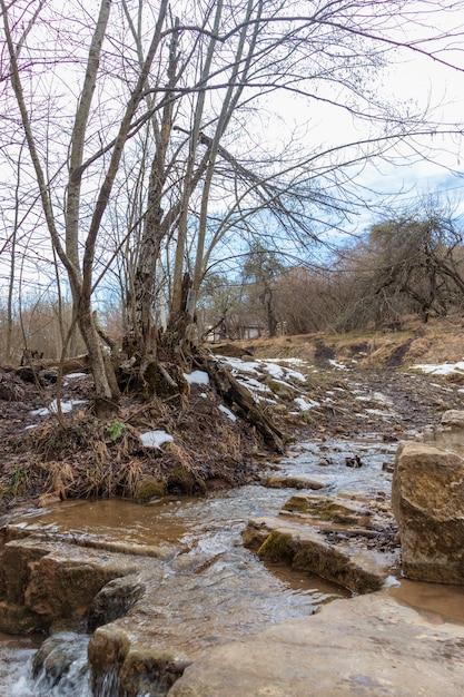 Rio nas montanhas. área montanhosa. foto em uma longa exposição, dia nublado. cachoeiras nas montanhas na floresta, paisagem de inverno dos rios de montanha