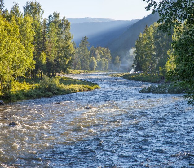 Rio nas montanhas de Altai, paisagem de verão