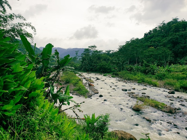 Rio nas montanhas maravilhosas paisagens de primavera da zona rural