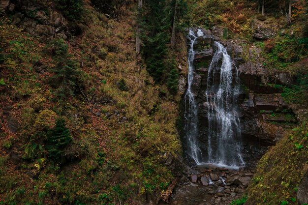 Rio nas profundezas da floresta montanhosa. Composição da natureza. Rio Mendelich no Norte do Cáucaso, Rosa Khutor, Rússia, Sochi. bela cachoeira em cascata na floresta de outono, nevoeiro e chuva.