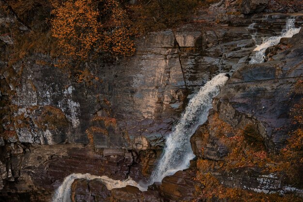 Rio nas profundezas da floresta montanhosa. Composição da natureza. Rio Mendelich no Norte do Cáucaso, Rosa Khutor, Rússia, Sochi. bela cachoeira em cascata na floresta de outono, nevoeiro e chuva.