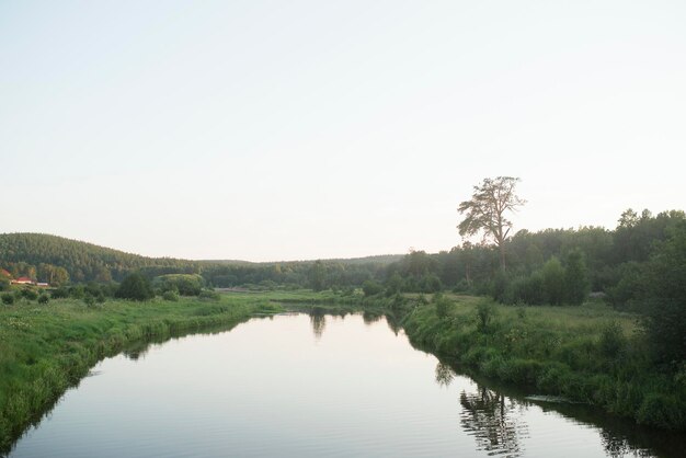 Río en la naturaleza en un día de verano, temprano en la mañana