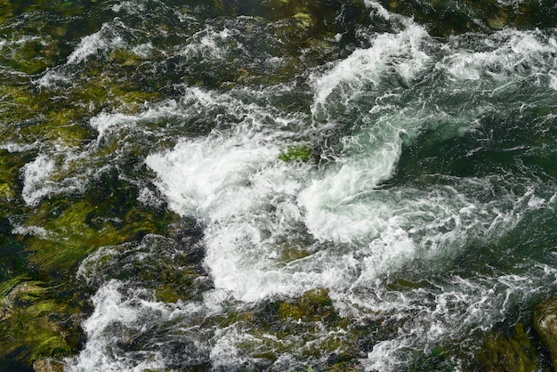 Foto un rio en la naturaleza.