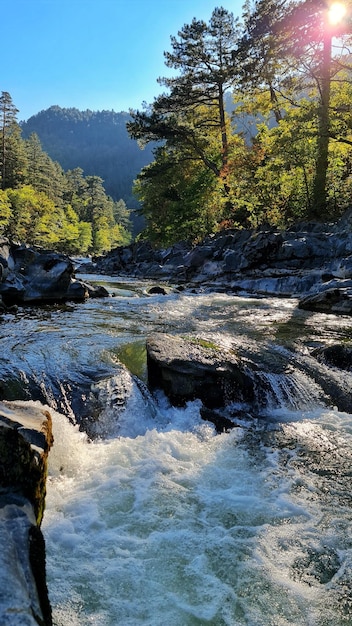 Foto un río en la naturaleza