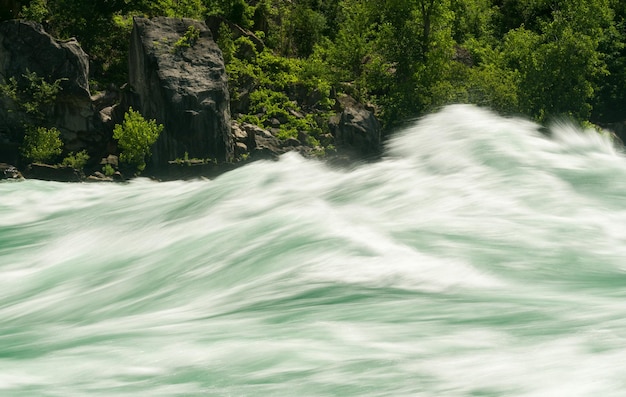 Foto rio niagara em white water walk no canadá