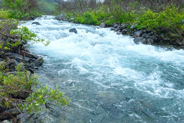 Un río en Noruega. Paisaje de verano.