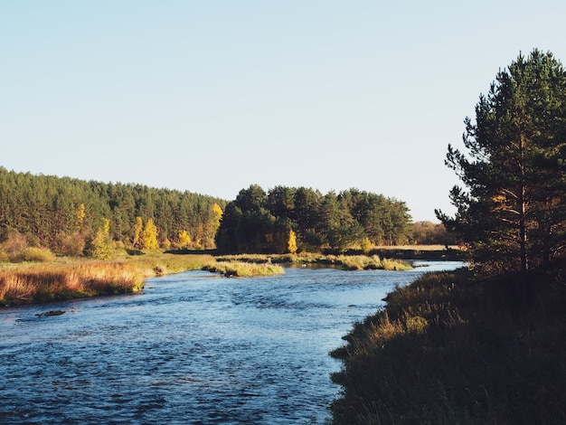 Río en otoño. El río y el pintoresco bosque otoñal.