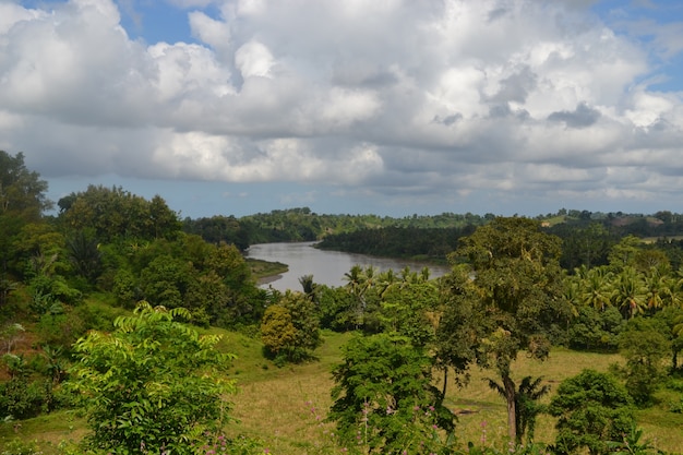 Foto rio padukku de cendana