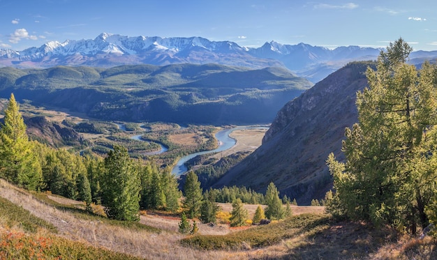 Río paisaje de montaña en el valle y el bosque