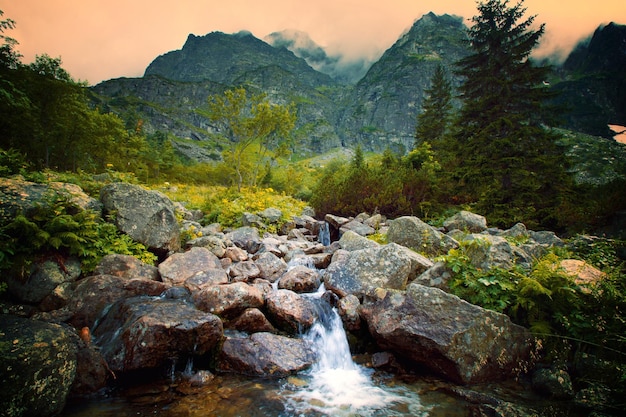 Río en el paisaje de montañas de niebla