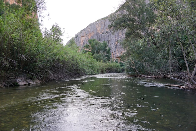 Un río con una pared de roca detrás