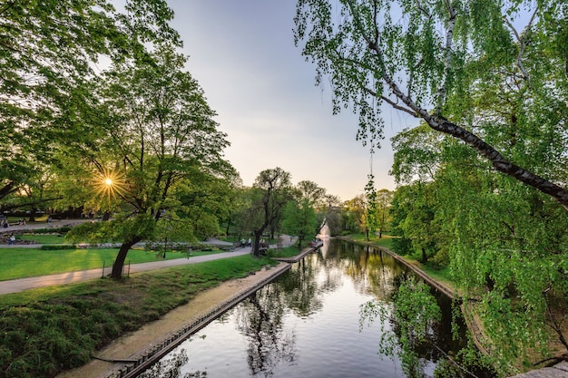 Río en el parque al atardecer