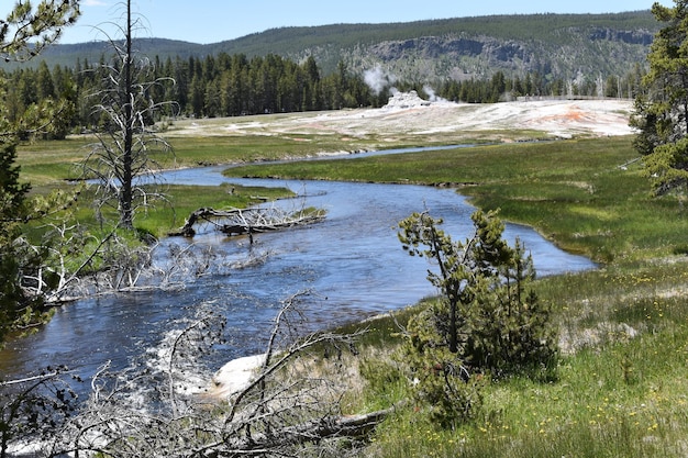 Río en el parque nacional de Yellowstone durante el invierno