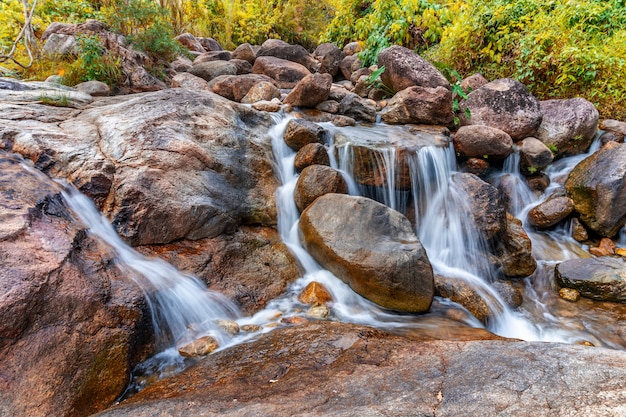 Río de piedra y árbol colorido.