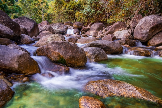 Foto río de piedra y cascada, ver el árbol del río de agua
