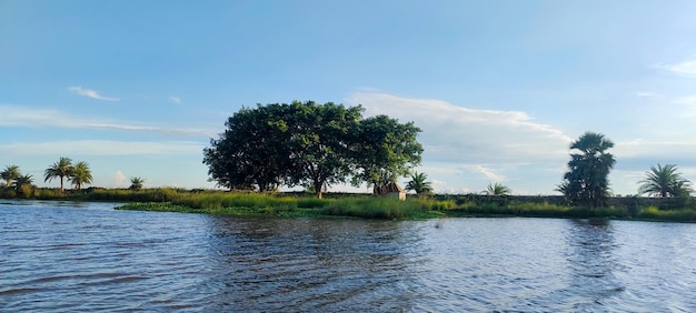 río playa árbol verde cielo azul maravillosa vista nube blanca imagen de fondo