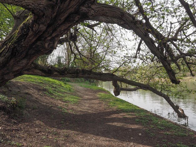 Río Po Turín