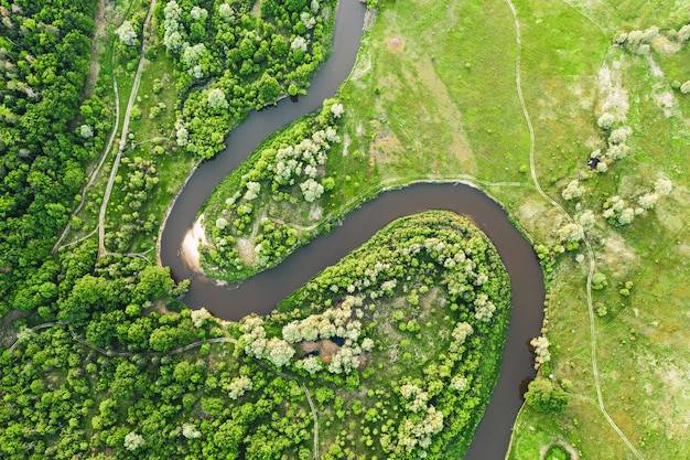 río en los prados