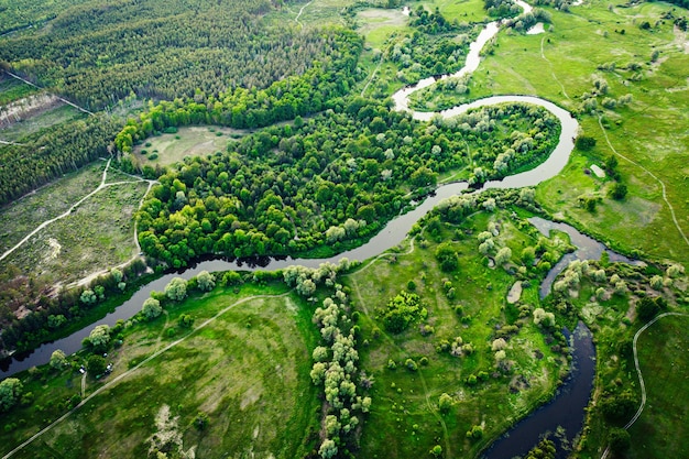 río en los prados