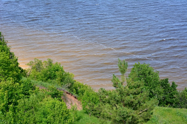 río profundo con agua oscura y árboles verdes en el espacio de copia de la vista superior de la costa