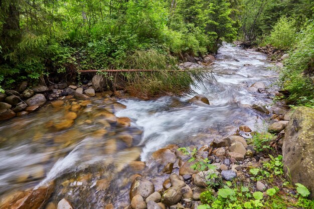 Río profundo en bosque de montaña