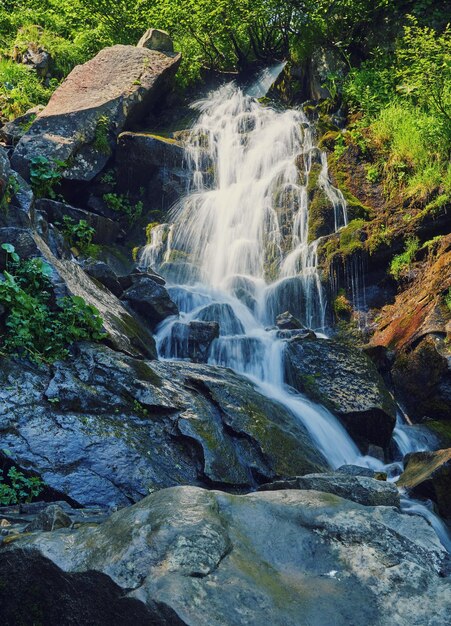 Río profundo en bosque de montaña