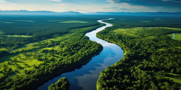 un río que atraviesa un bosque