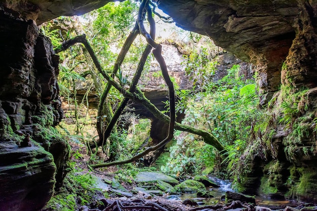 Foto río que atraviesa una cueva de piedra en la selva tropical de carrancas en minas gerais, brasil