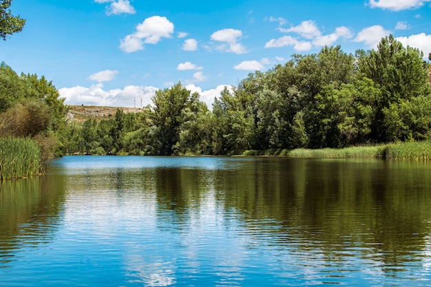 Un río que atraviesa un hermoso paisaje primaveral.