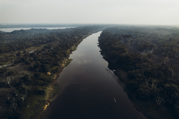 Un río que desemboca en el amazonas foto de alta calidad