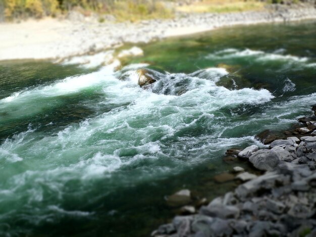 Foto río que fluye en el bosque