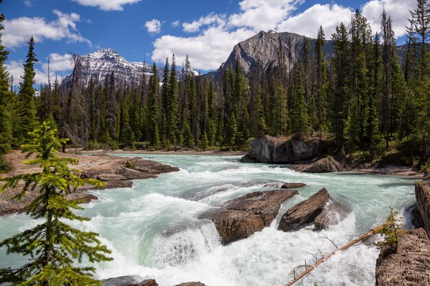 Río que fluye en el cañón rodeado por las Montañas Rocosas canadienses